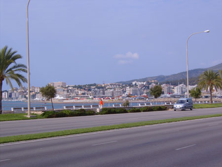 S5300174